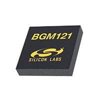 BGM121N256V2 Images